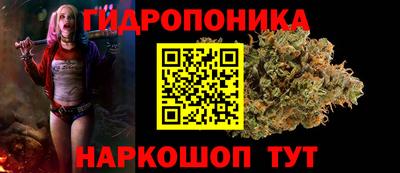 прущие крисы Берёзовский