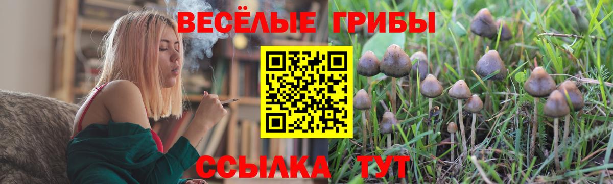 Галлюциногенные грибы мицелий  Вход с VPN  Псилоцибиновые грибы ЛСД  Грозный 
